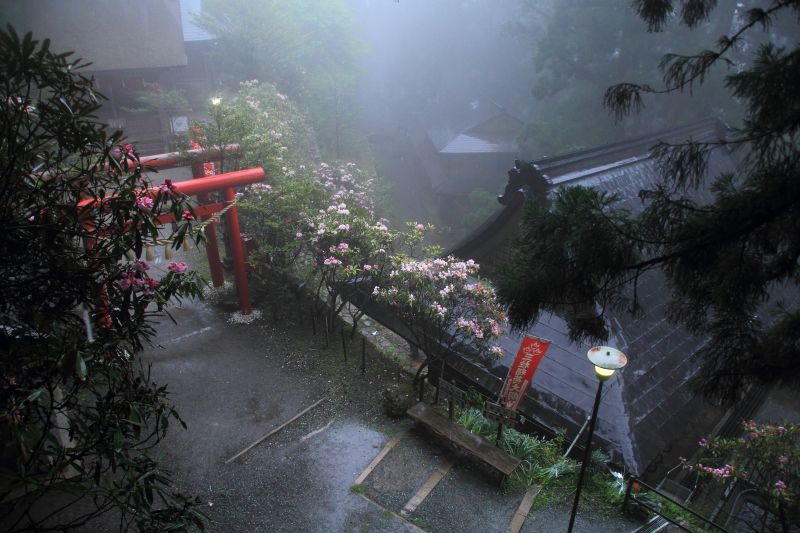 玉置神社_004.jpg