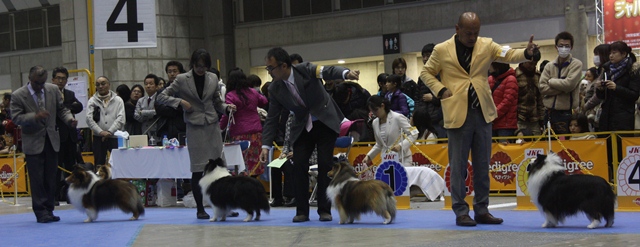 2012-12-23　FCI東京インターSS.JPG