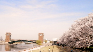 環水公園　4.12　2015