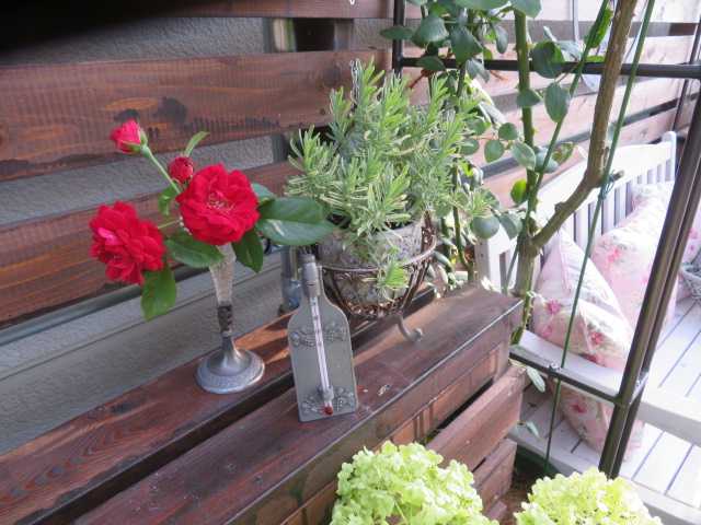 寂しくなった寄せ植えに暑さに強いお花を足してみる アンティークの魅力 ばぁばの薔薇の花園 楽天ブログ