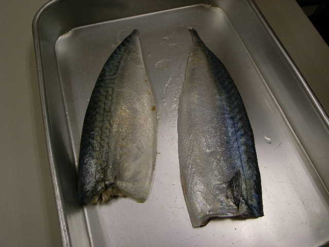 RIMG12995.JPG