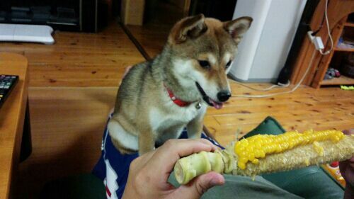 rblog-20170701203516-00.jpg