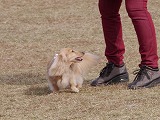 20121104132106[1].jpg