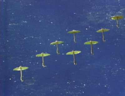 キャプテンウルトラ