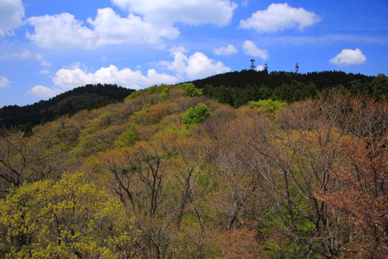 金剛山_002.jpg