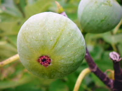 2012_1010_120749-SANY0030.JPG
