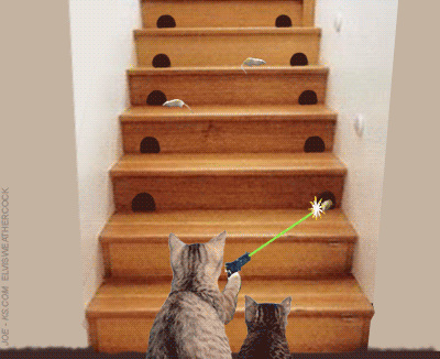 071a64dd-b051-4403-ab5a-0a8a2a4834f1.gif