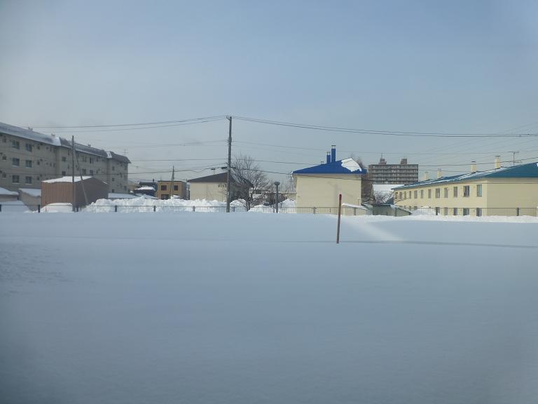 P1180231.jpg