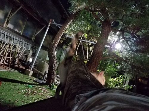 rblog-20180918121907-07.jpg