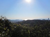 IMG_3910_R.JPG
