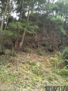 本丸の下