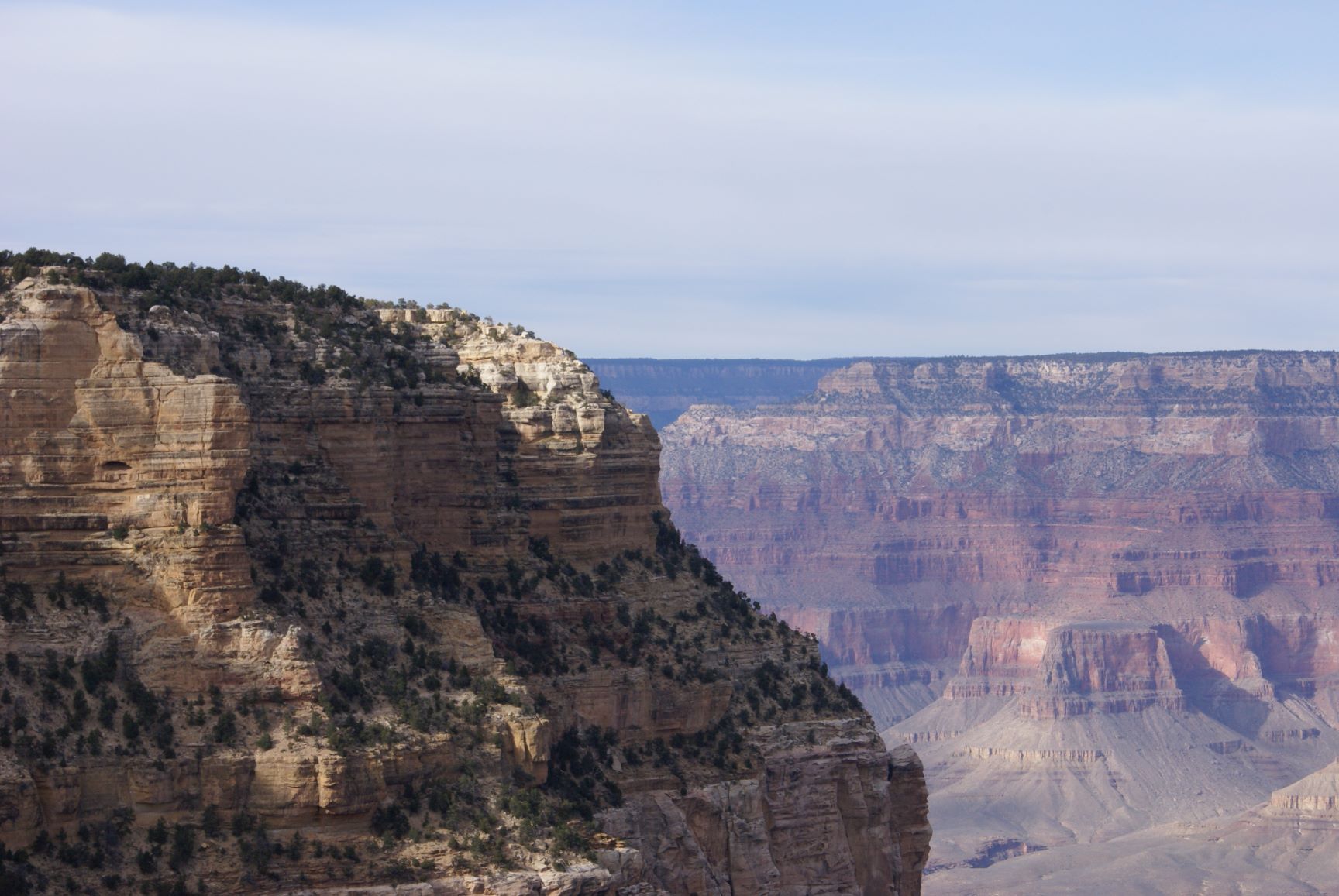 パクチリアンのひとり言