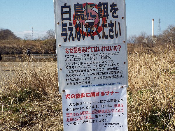 2016-02-18-kohakutyou-168-b.jpg