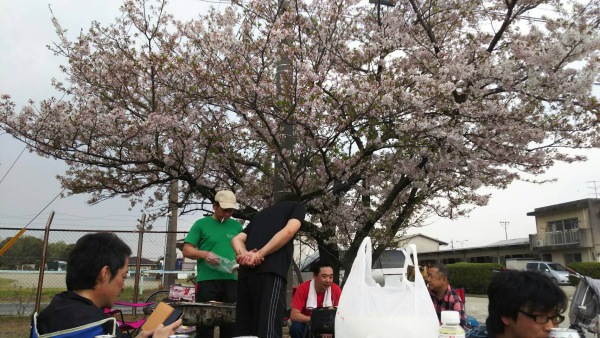 花見