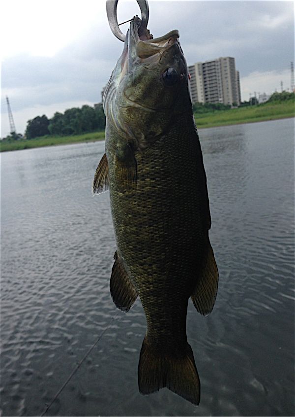 rblog-20140816192848-01.jpg