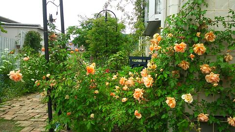 rblog-20140514220959-01.jpg