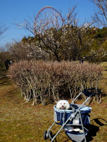 葛西臨海公園にて