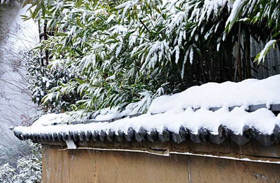 雪８