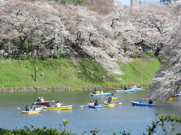 千鳥ヶ淵緑道