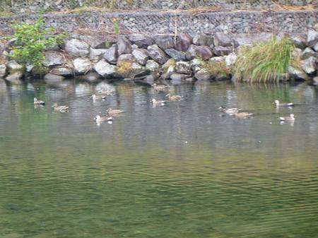 P1000053.jpg