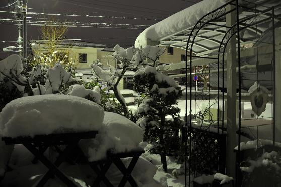 大雪　14-2-'14 010.JPG