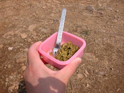 ふきのとう味噌