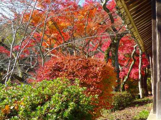 SL_kyoto_P1040136.jpg