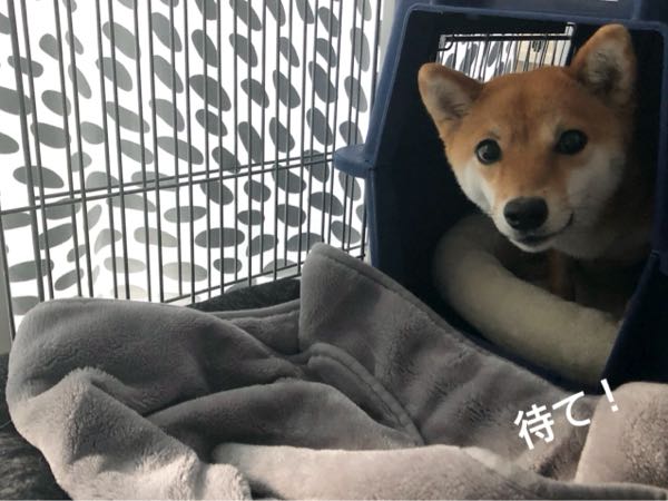 rblog-20180112090231-04.jpg