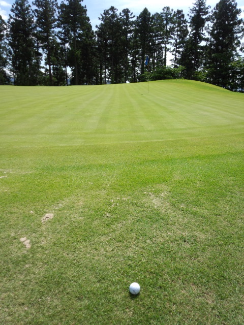 DCF00047.JPG