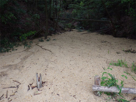 土砂に埋まったビオトープの池