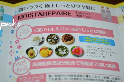 リーフレット