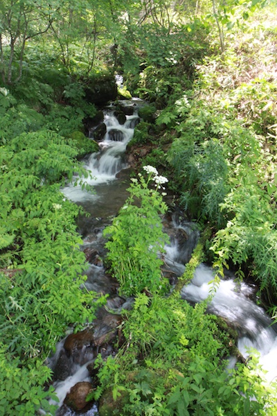 150808_03.jpg