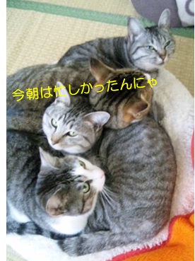 20120714_4.jpg