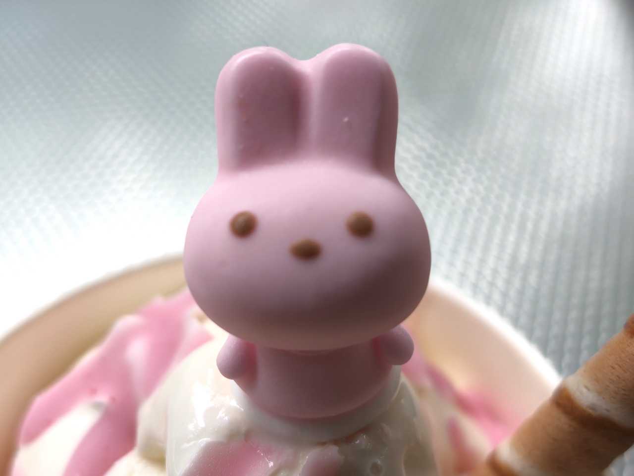 上野動物園 うさぎちゃんソフトクリーム570円 他 | イルカカメラと