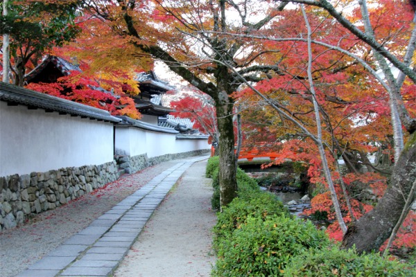 IMG_6664金剛寺.jpg