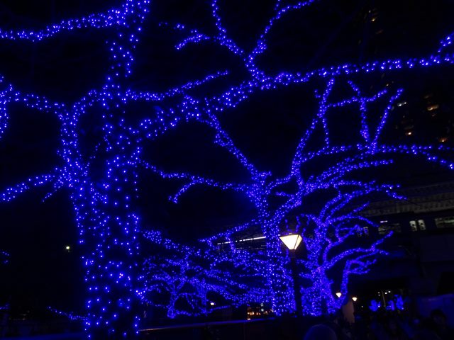 DSC08929_R.JPG