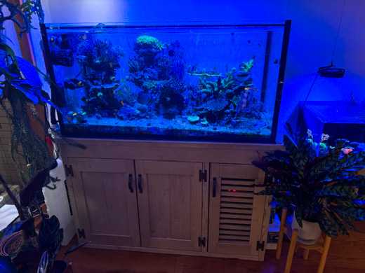 OLD ASHIBA オーダー水槽台 ナイトモード | くり坊のひとりごと（blog