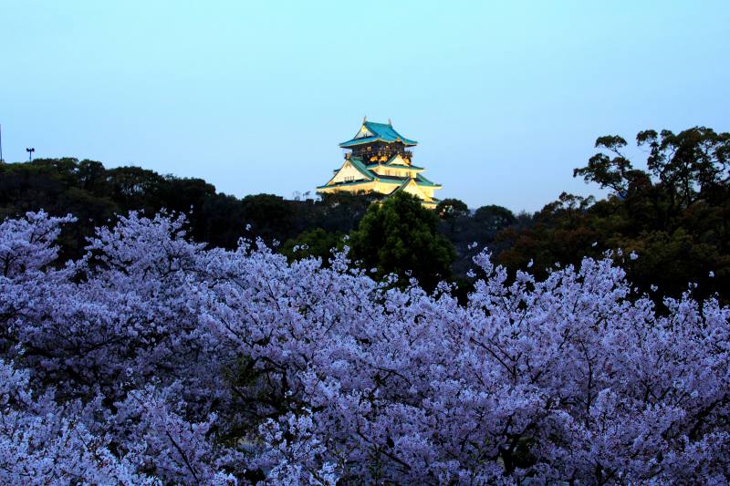 大阪城夜桜_3.jpg