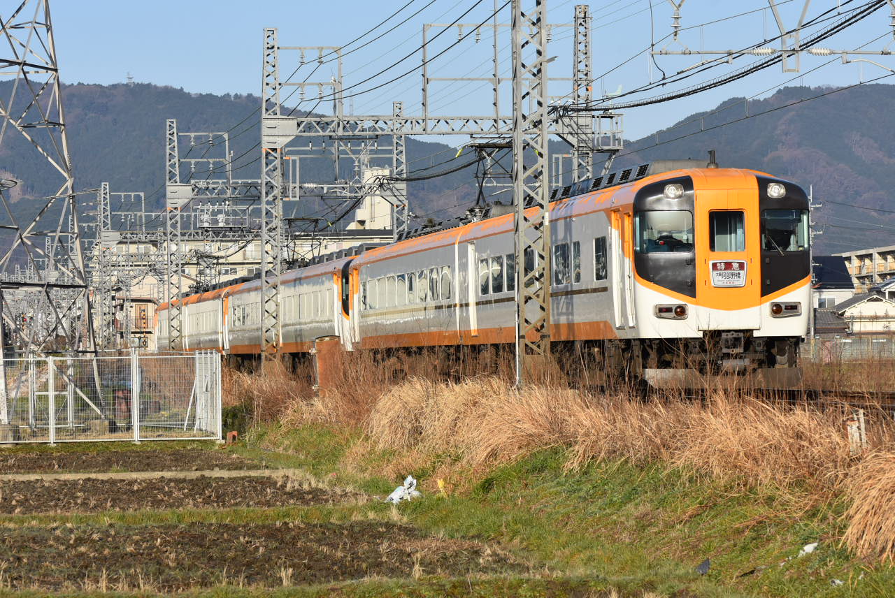 DSC_7219.JPG