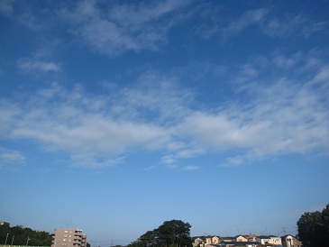 IMG_9353.JPG