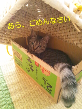20120817_3.jpg
