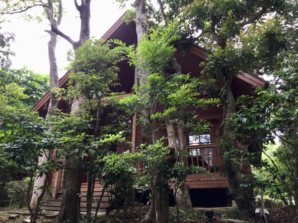 rblog-20180610215850-07.jpg