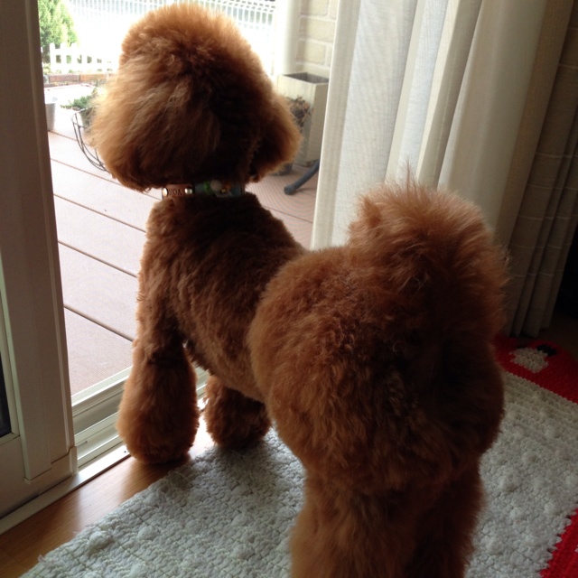 rblog-20130612174352-02.jpg