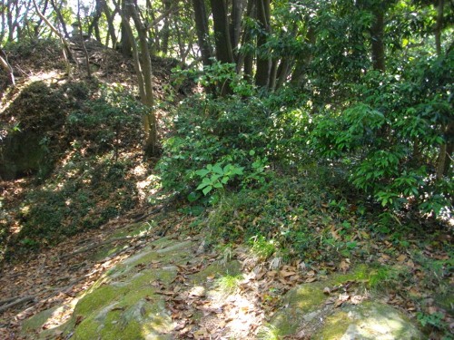 衣笠城堀切 (500x375).jpg