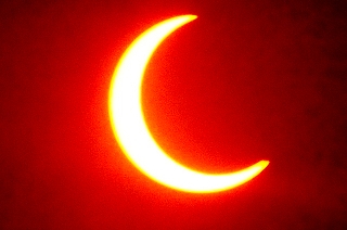 _DSC9516.jpg