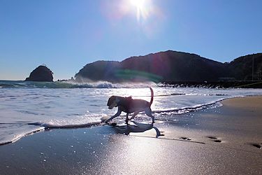 20160104海へIN