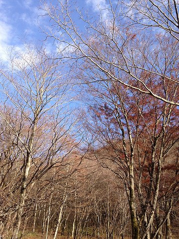 湖畔の紅葉を期待したけど