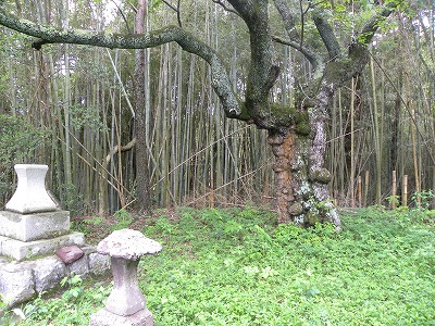 DSCN8935.jpg