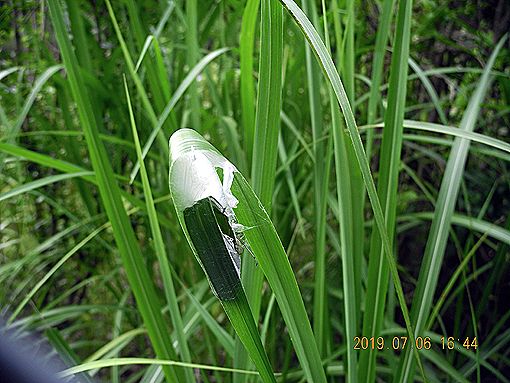 残念 は ず れ お仕事 奮闘日記 楽天ブログ