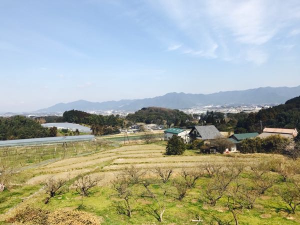 rblog-20170312145448-06.jpg